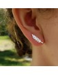 Boucles d'oreilles Laurier en argent 925 Aloe Bijoux