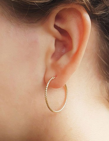 Boucles d'oreilles créoles diamantées plaqué or Aloe Bijoux