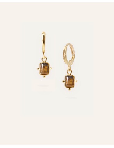 Boucles Dormeuses Œil de Tigre en Plaqué Or Aloe Bijoux